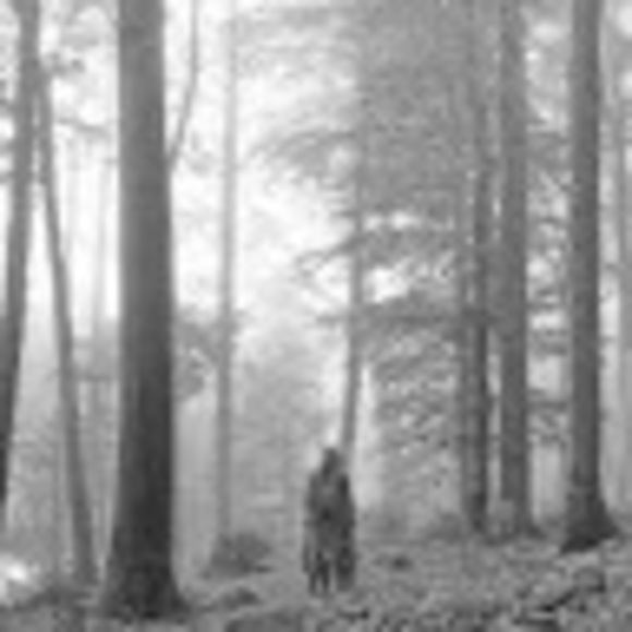 Meet your Posher, Magnolia - Picture 1 of 1